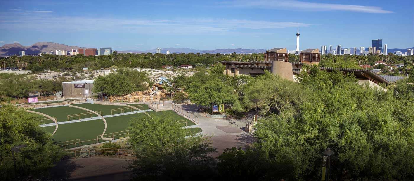 View of Las Vegas skyline as seen from Divine Cafe at the Springs Preserve