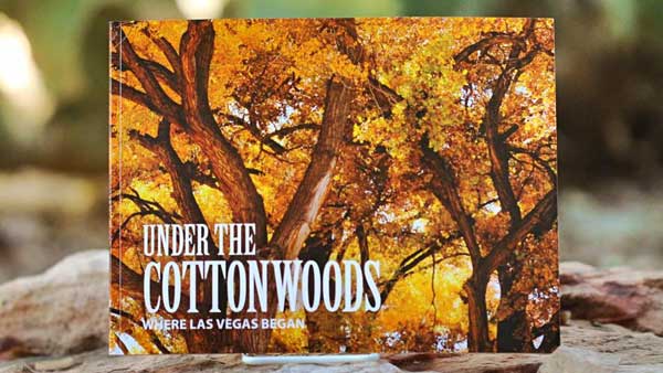 Under the Cottonwoods book