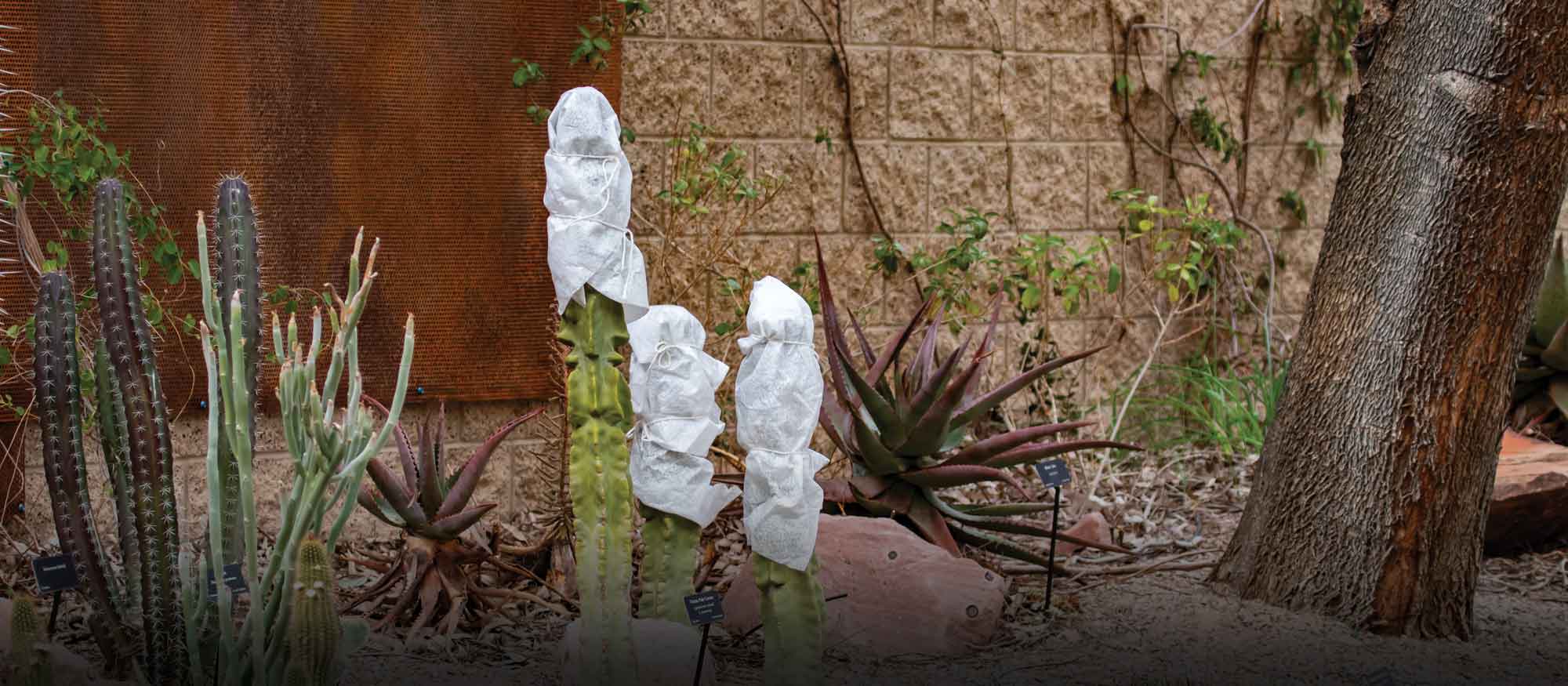 Garden Class: Winterize Your Garden