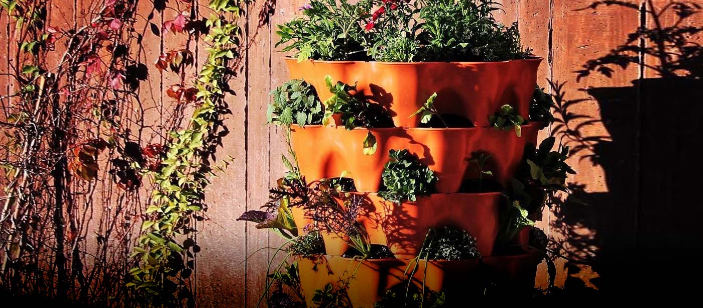 Garden Class: Container Gardening