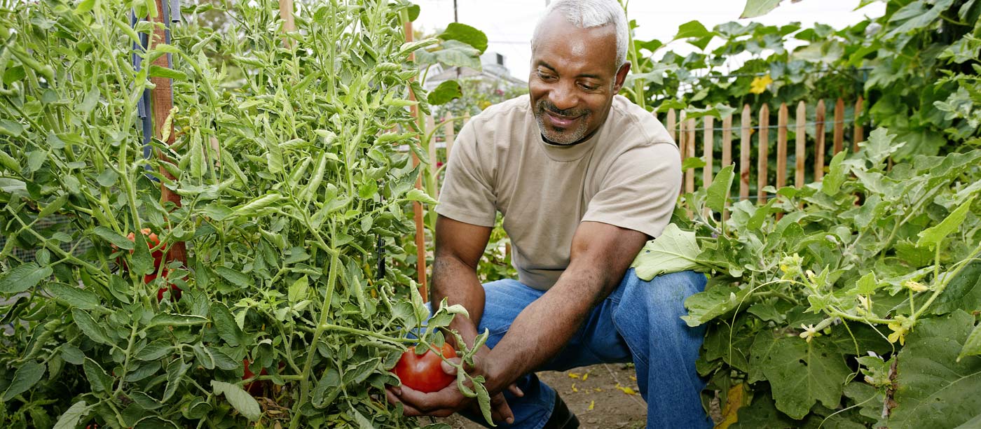 Garden Class: Vegetable Gardening