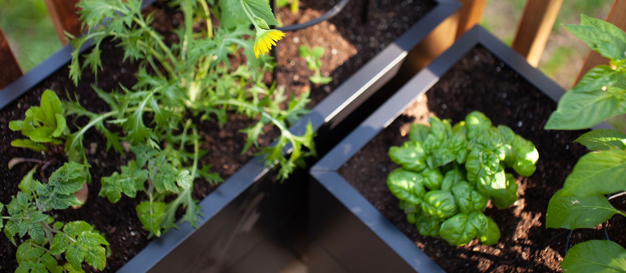 Garden Workshop: Container Gardening