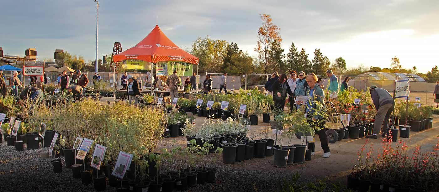 Spring Plant Sale