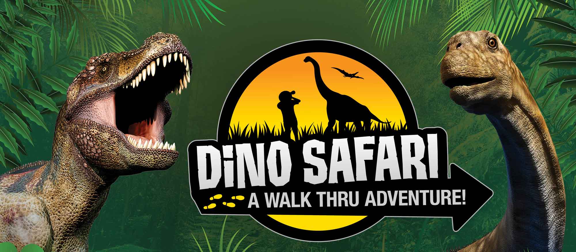 Dino Safari: A Walk Thru Adventure