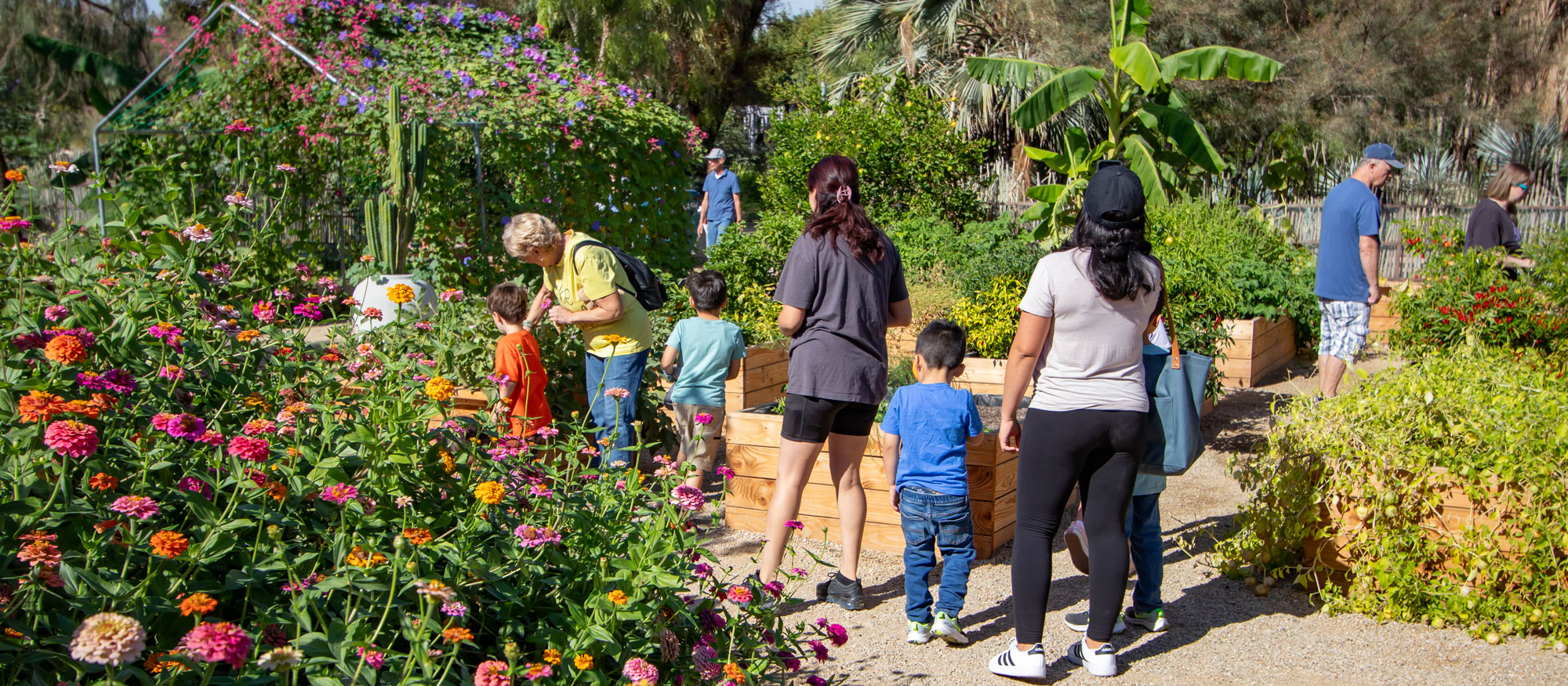 Nevada Day Celebration