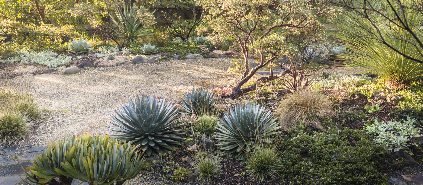 Free Online Class: Basics of a Water Smart Landscape