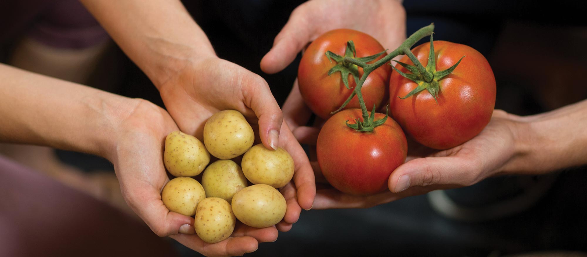 Garden Class: Tomatoes & Taters