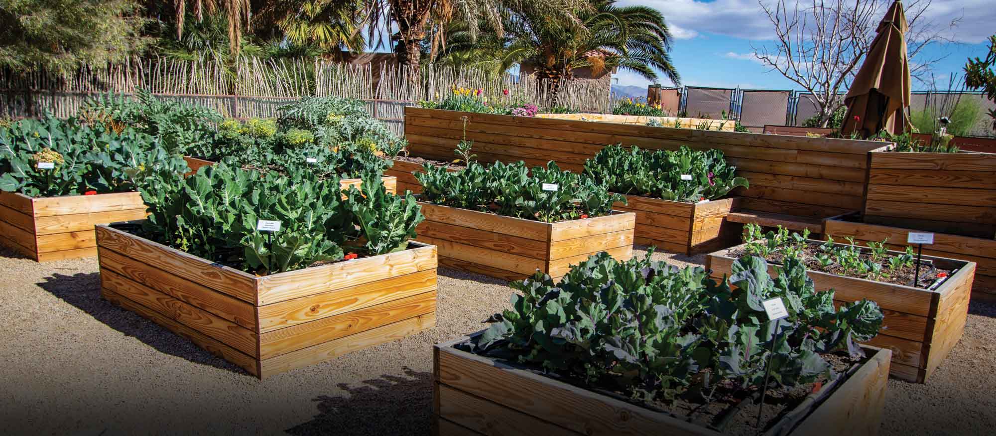 Rest & Recharge: Prep for a Thriving Garden