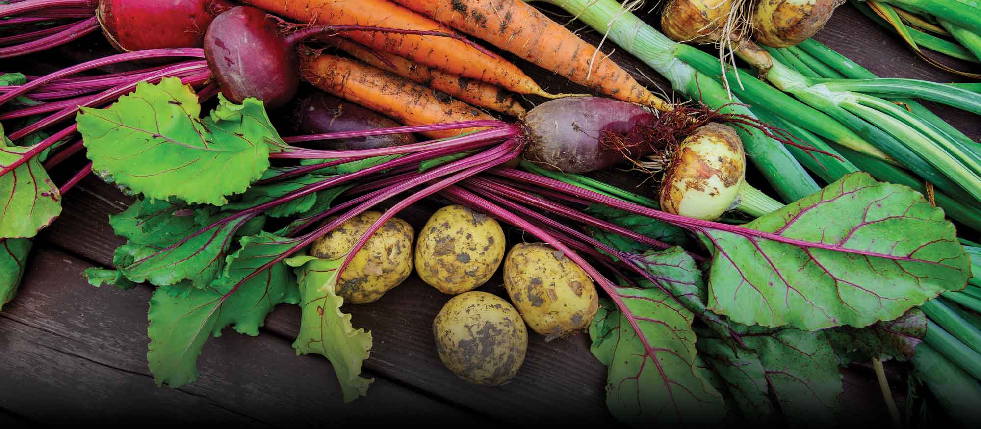 Garden Class: Fall Vegetables