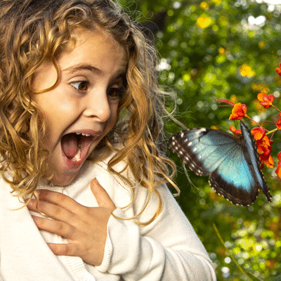 Butterflies inside the Butterfly Habitat at the Las Vegas Springs Preserve