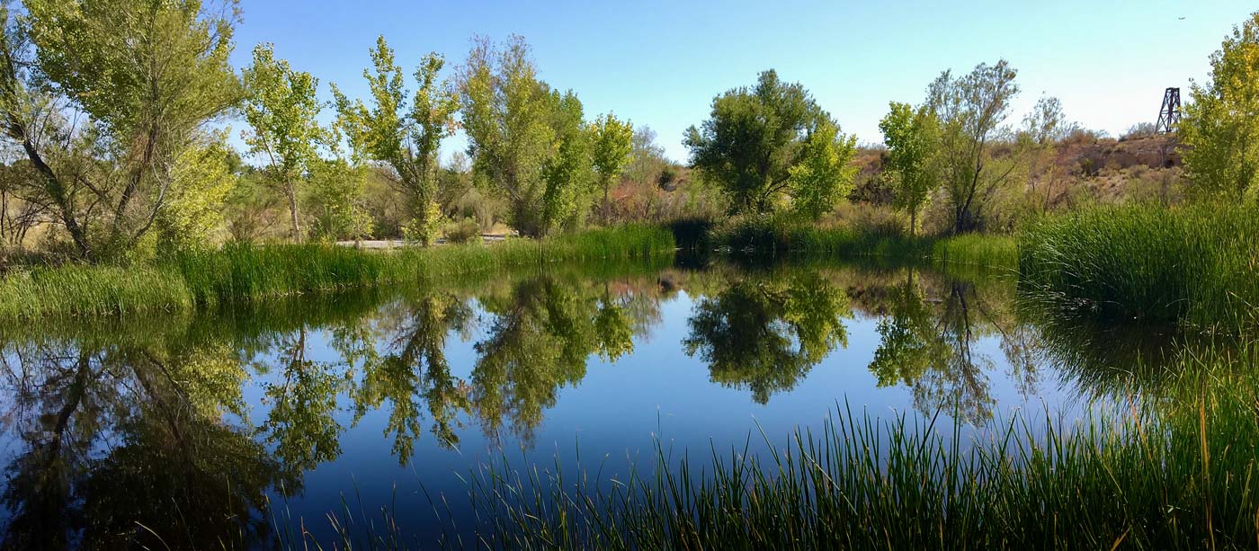 Cienega pond at the Las Vegas Springs Preserve