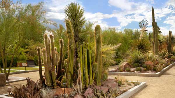 Botanical Garden entrance at the Las Vegas Springs Preserve