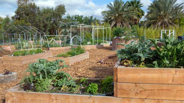 Teaching Garden