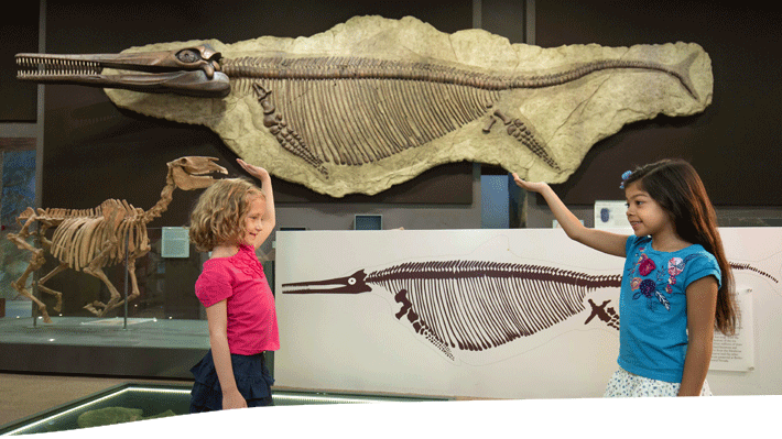 Two children stand in a museum before a large Ichthyosaurus fossil exhibit. 