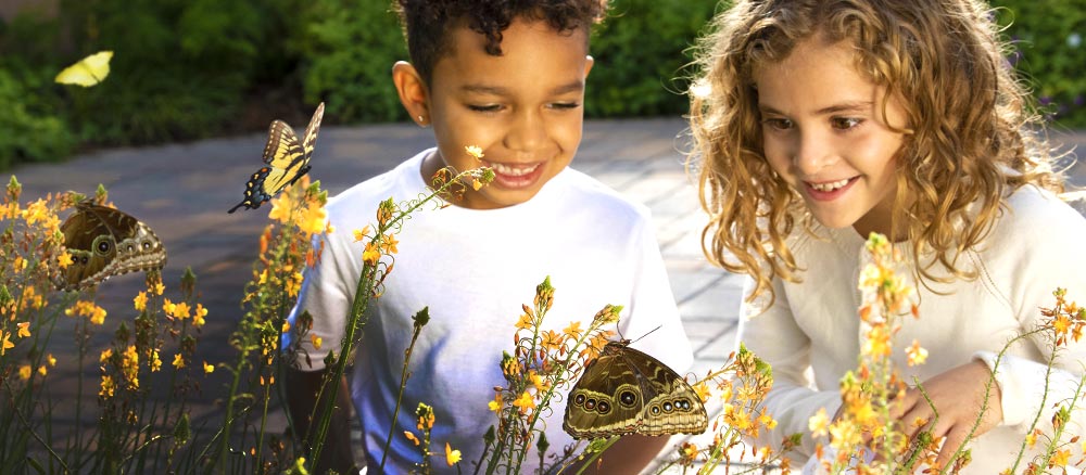 Two children surrounded by colorful butterflies inside the Butterfly Habitat.
