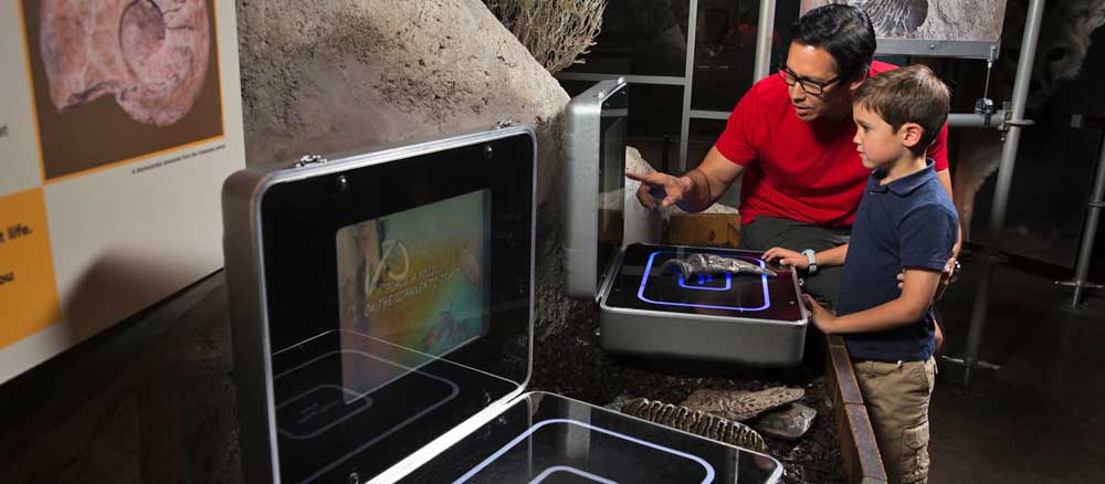 Two visitors, an adult and a child, are interacting with an interactive display at a science museum. 