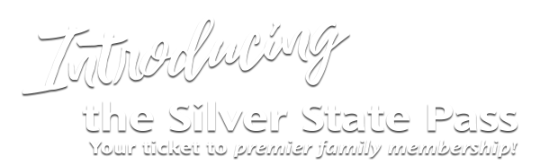 Introducing the Silver State Pass, your ticket to premier family membership.