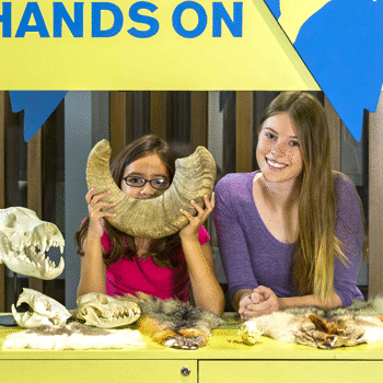 Summer family programs at the Nevada State Museum
