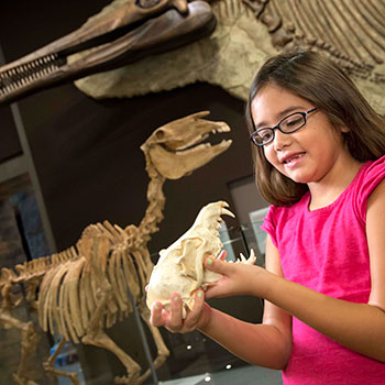 Girl holds fossils at the Nevada State Museum