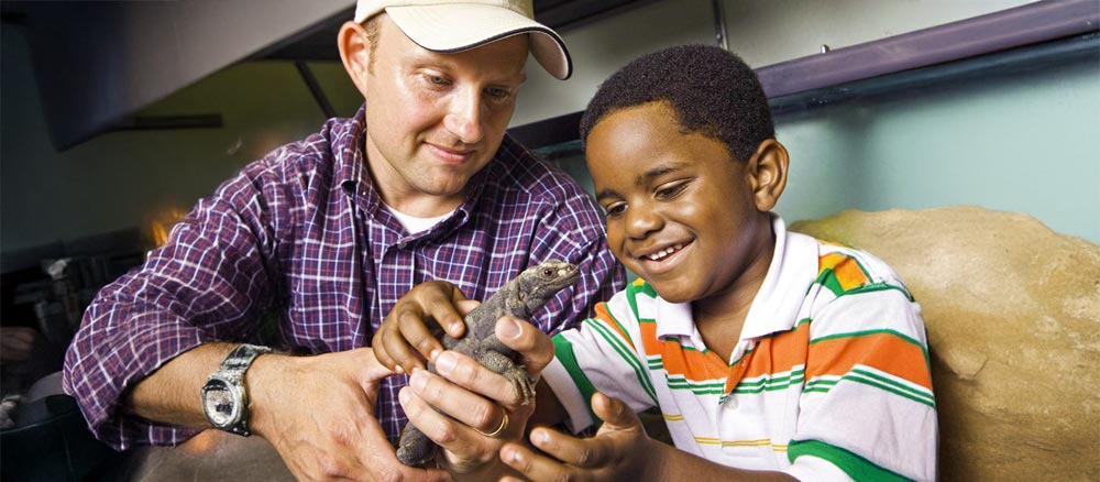 A man and child interacting with a lizard in an indoor zoology setting.