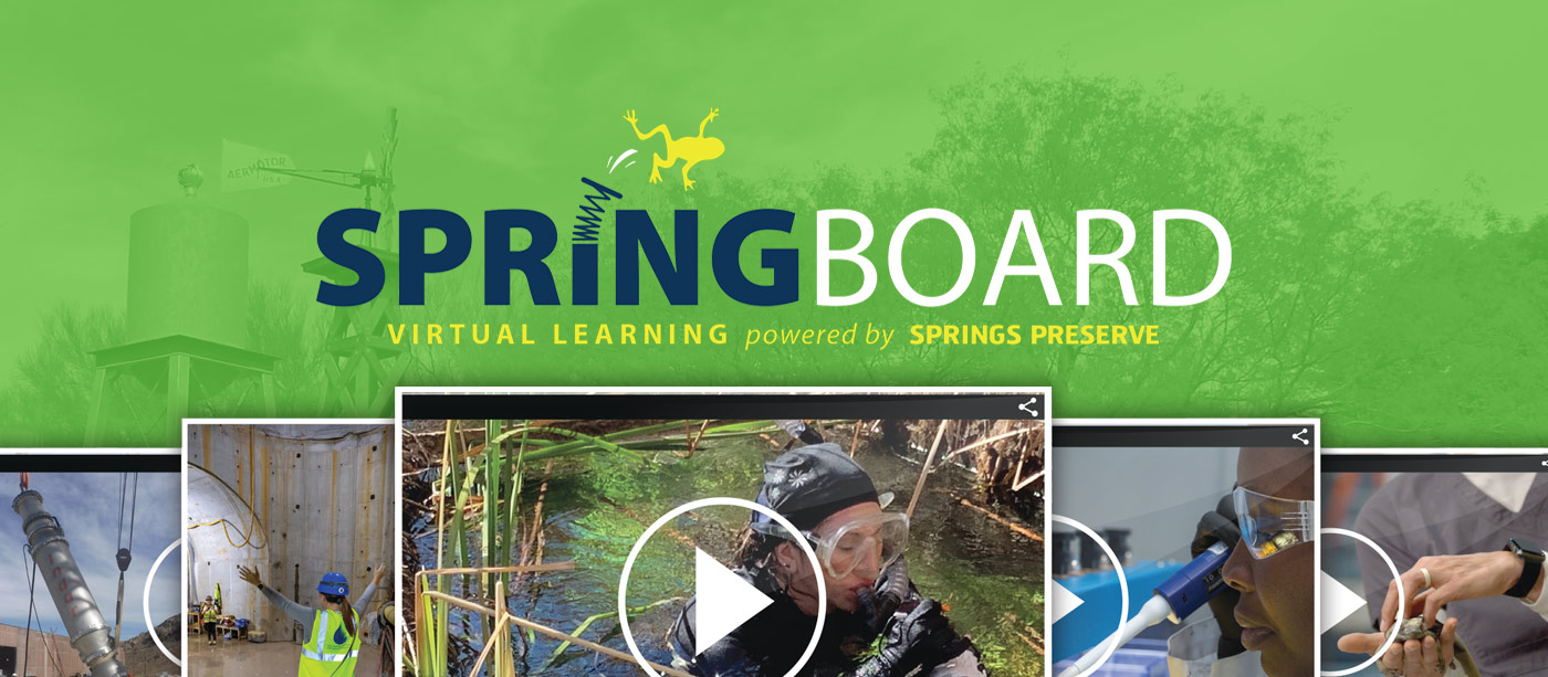 Promotional image for Springboard Series for Virtual Learning showing video thumbnails