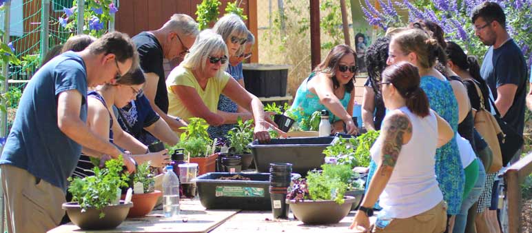 A group of people participating in a gardening workshop at a table filled with plants, set in a sunny garden.