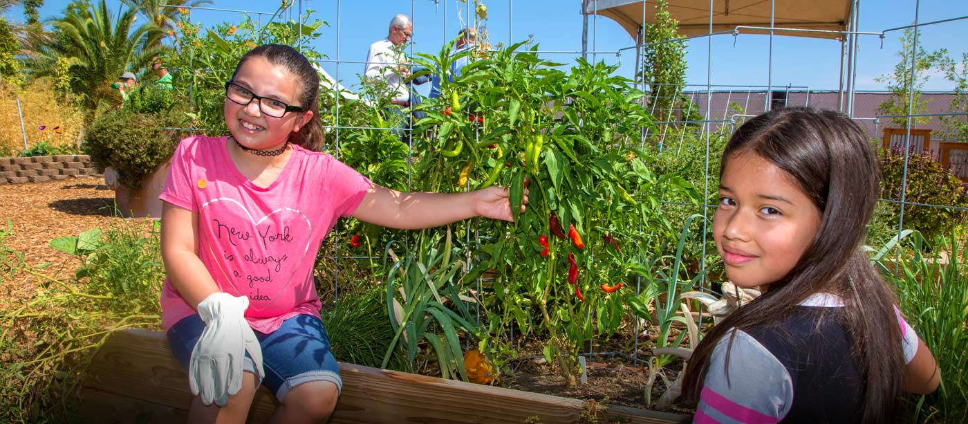 Students in the Teaching Garden