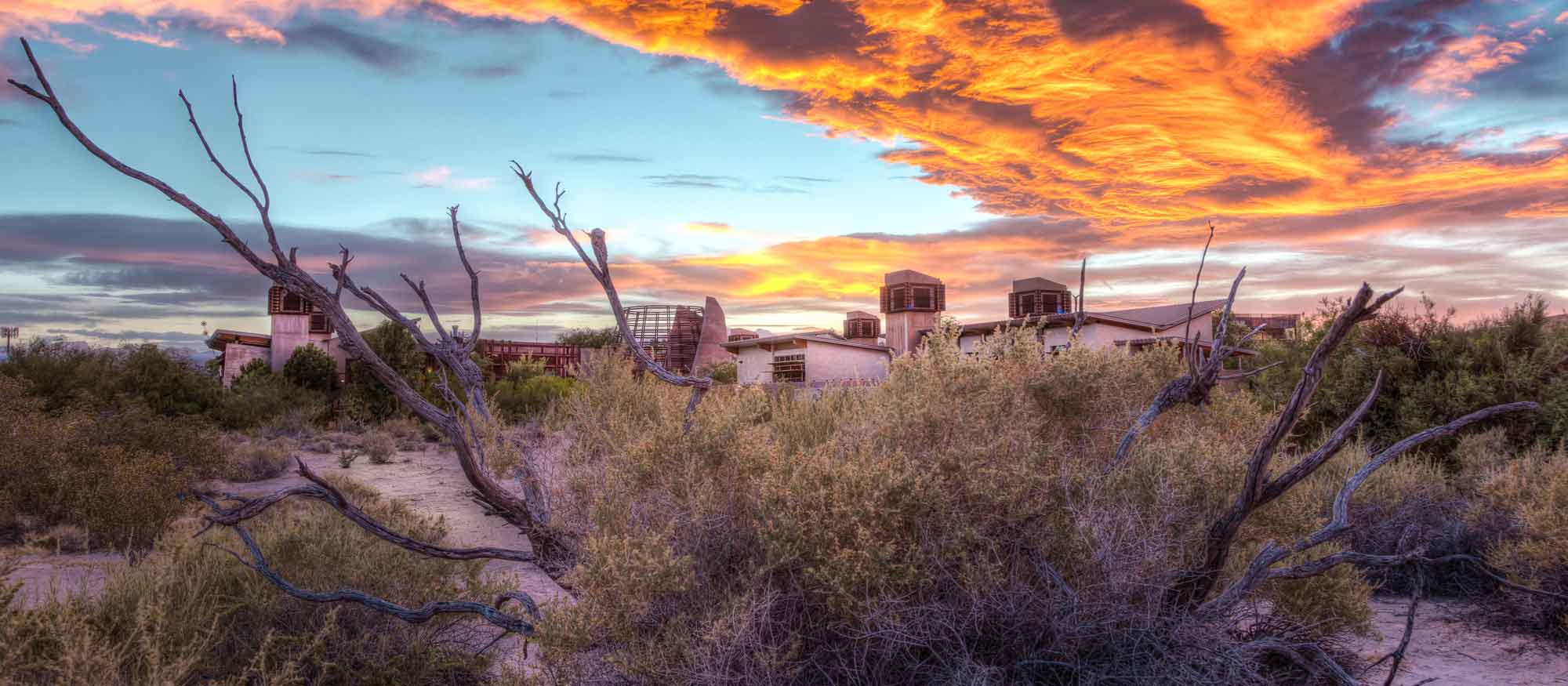 Sunset over the Springs Preserve trails with vibrant orange and pink clouds in the sky, desert vegetation in the foreground.