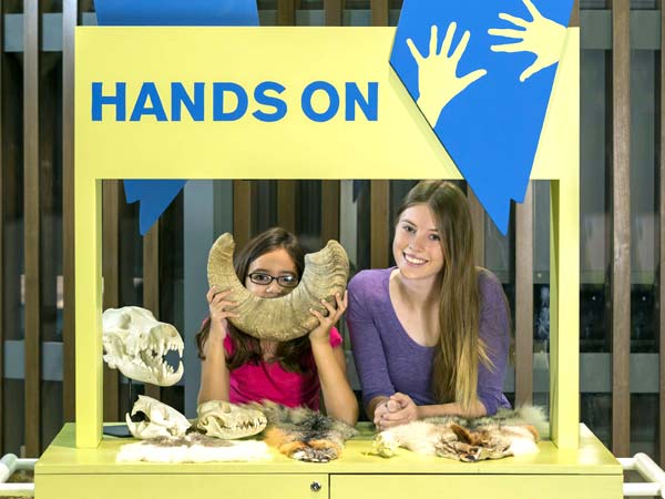 Children playing with fossils